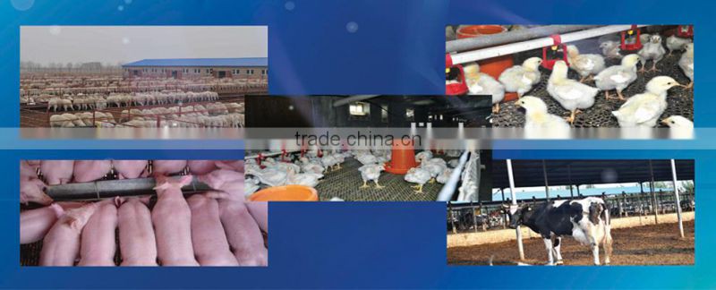 Livestock and poultry probiotics feed additive