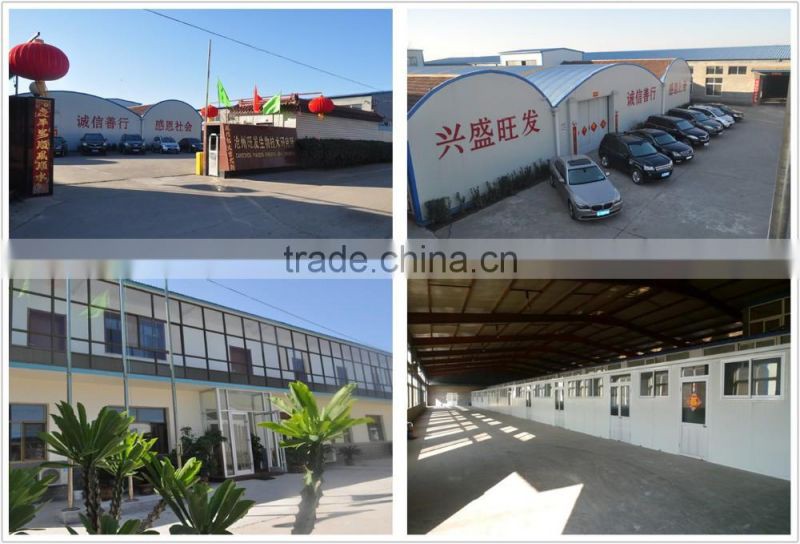 Bacillus megaterium(phosphate solubilizing bacteria)