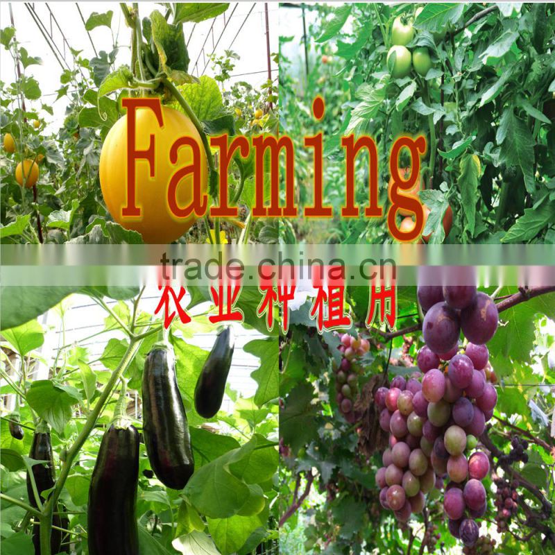 Aquaculture, agriculture, livestock and poultry breeding EM (Effective microorganisms)