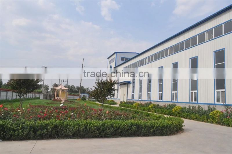 Cell-wall-broken nutritional yeast protein powder