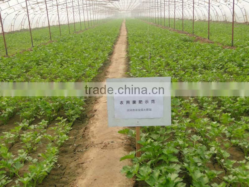 Microecologics for agriculture planting,agricultural microbial inoculants