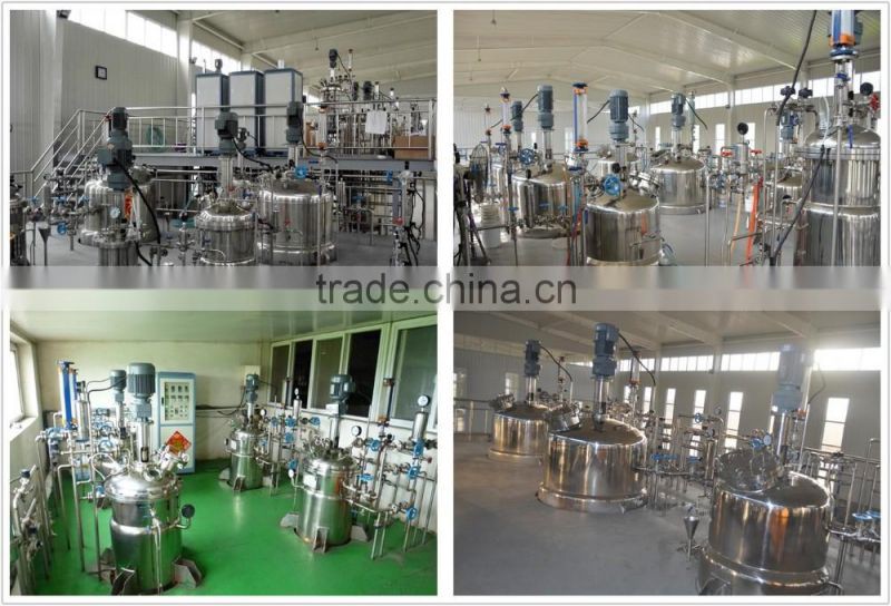 Bacillus megaterium(phosphate solubilizing bacteria)