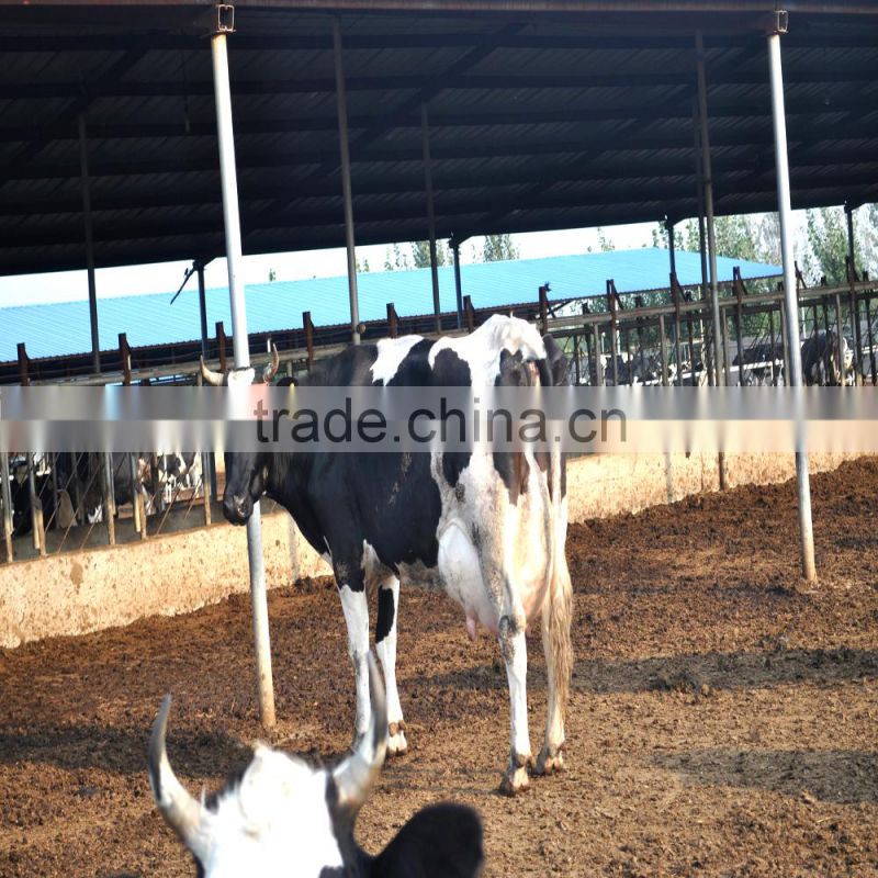 High activity fodder yeast, Inhibit bacteria, prevent disease, enhance immunity, promote the growth