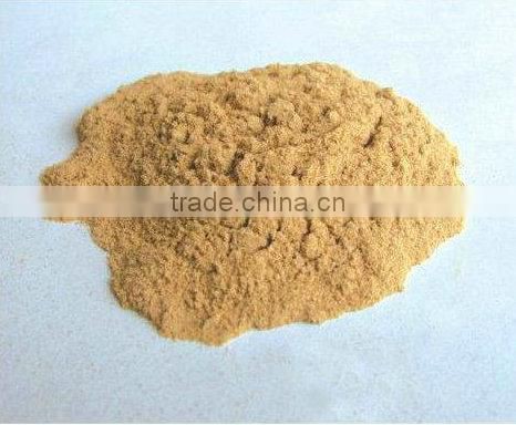 The bacteria for fermenting feces into biological organic fertilizer