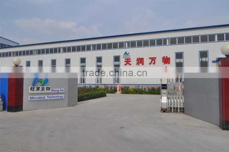 Cell-wall-broken nutritional yeast protein powder