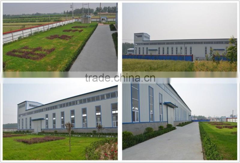 Bacillus megaterium(phosphate solubilizing bacteria)