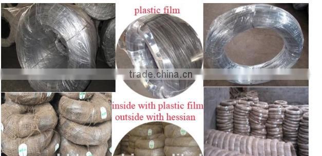 16# Galvanized Iron Wire