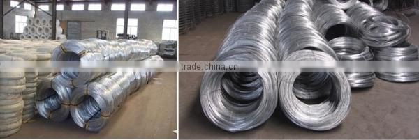 16# Galvanized Iron Wire
