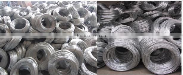 16# Galvanized Iron Wire
