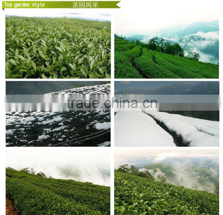 Yunnan Dian Hong Black Tea