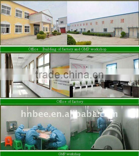 pure and organic bee rape Pollen or bee food or bee bread