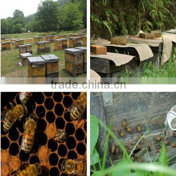 bulk 100% natural propolis powder