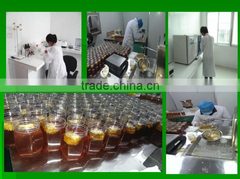 Pure natural royal bulk honey for sale