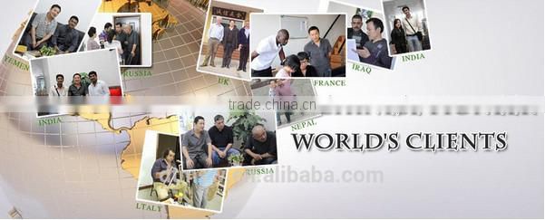 SWEET BF-9 beehive frame deep bee feeder with ladder