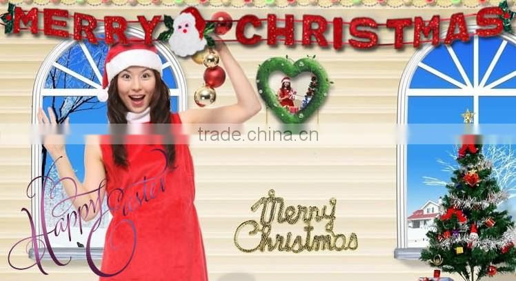 Indoor/Outdoor Christmas Decorations English Letters String Banners 1.7m