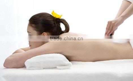 free shipping various gemstone guasha comb traditional Chinese therapy tools