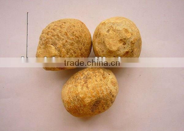 upply 100% Natural Alisma Rhizome Extract 10:1