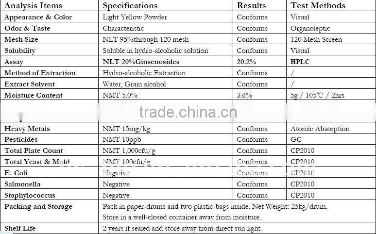 panax ginseng extract 20% Ginsenoside (Health nutrition;chinese herb medicine)