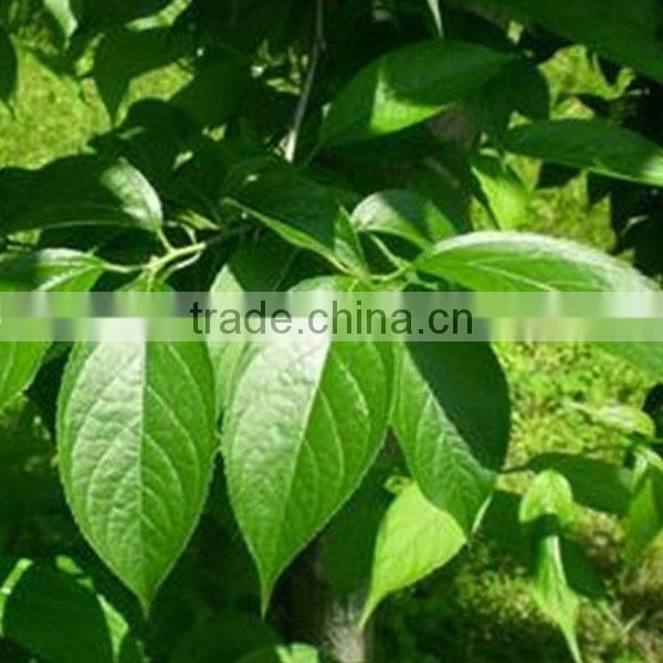 High quality tu-chung extract