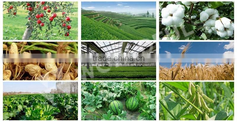 High Quality Organic Fertilizer Amino Acid with NPK 16-0-1