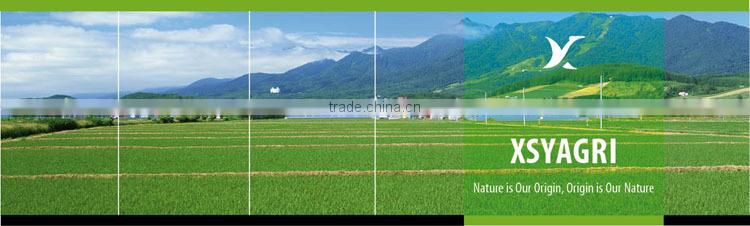 Amino Acid+ NPK Orgnic Fertilizer