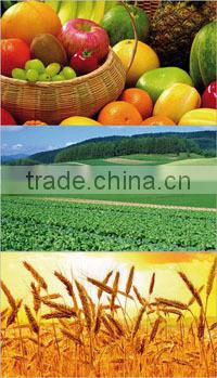 Amino Acid+ NPK Orgnic Fertilizer