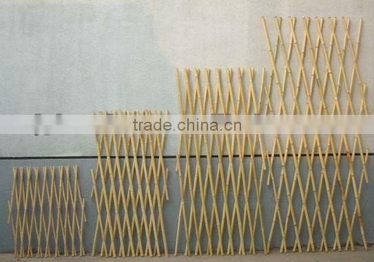 garden bamboo trellis