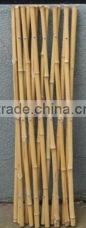 garden bamboo trellis