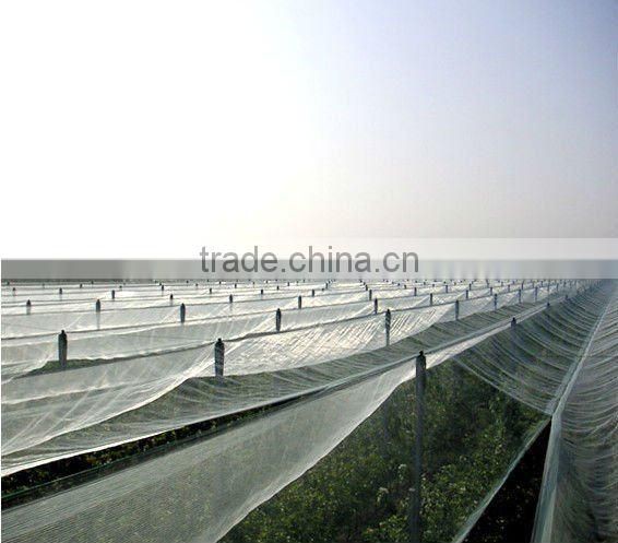 100% new HDPE hail net