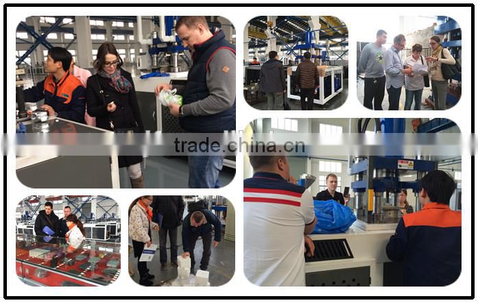 SYST-500 Top quality cow lick salt block hydraulic press machine