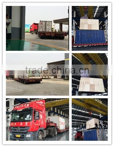 Factory outlet cow lick salt block hydraulic press machine with great price