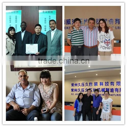 Factory outlet cow lick salt block hydraulic press machine with great price