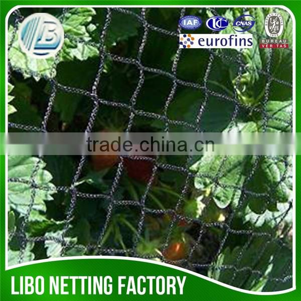 Anti bird Nets for Cherry/fruit trees