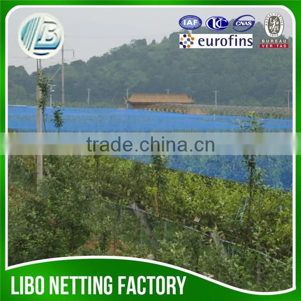 agriculture anti bird protection net