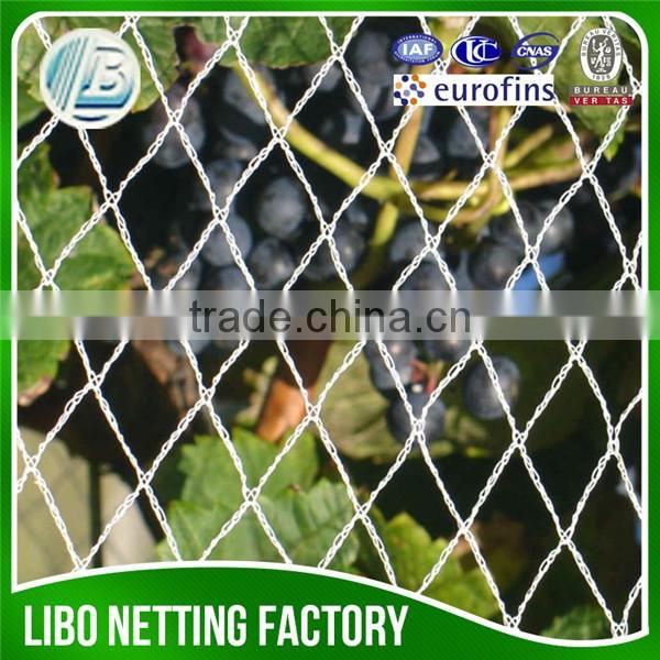Anti bird Nets for Cherry/fruit trees