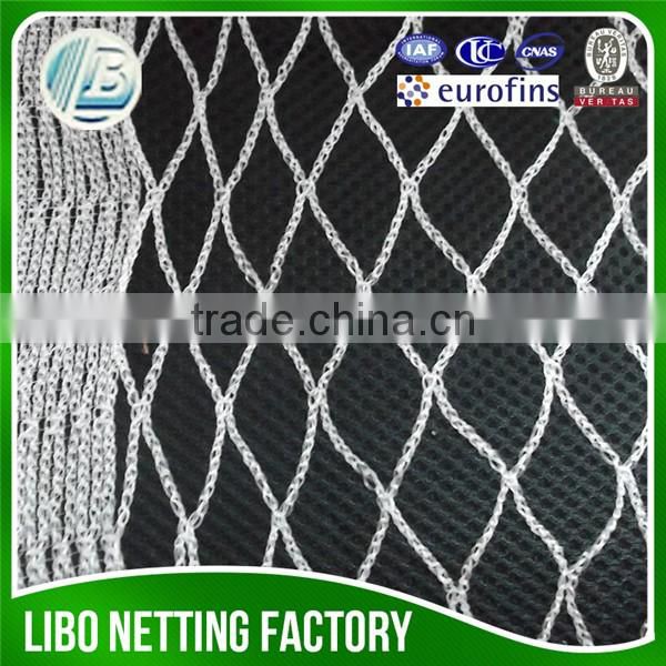 china hdpe plastic anti-bird neting /anti bird net