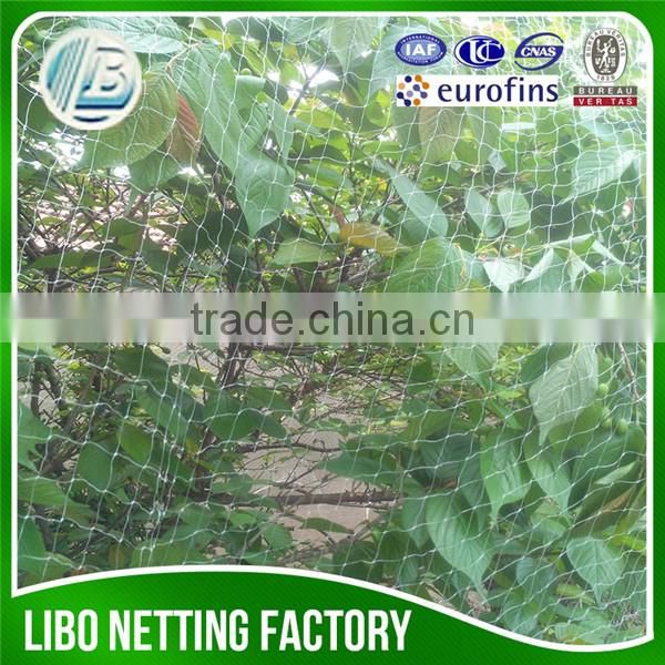 Hot Sale UV Treated Bird Netting