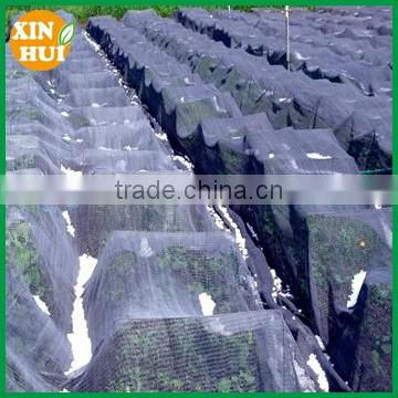 Apple Tree Anti Hail Net, hail protection Net