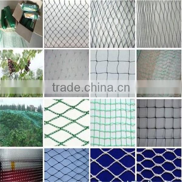 alibaba america 100% virgin HDPE plastic cheap uv anti bird net