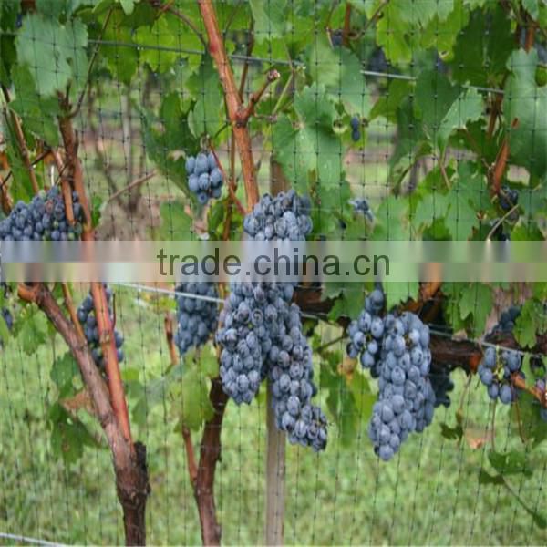 alibaba america 100% virgin HDPE plastic cheap uv anti bird net