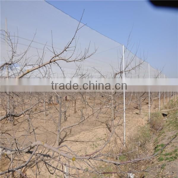 Good Quality hdpe black anti hail net for agriculture