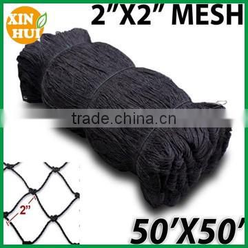 aphid transparent anti insect net with uv protection