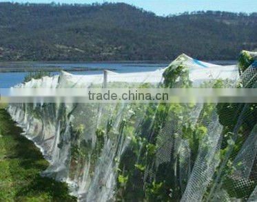 Excellent quality Cheapest 100% virgin apple tree anti hail net
