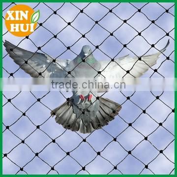 50gsm new HDPE anti bird net for catch bird
