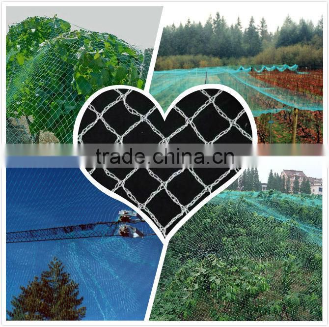 alibaba america 100% virgin HDPE plastic cheap uv anti bird net