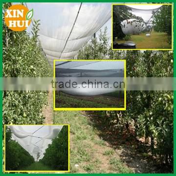 Apple Tree Anti Hail Net, hail protection Net