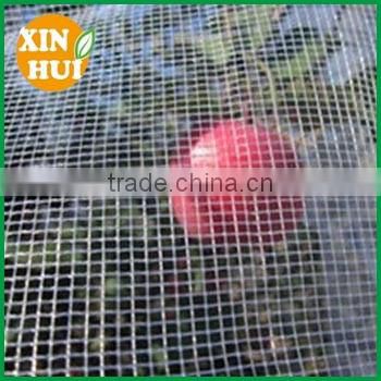 Apple Tree Anti Hail Net, hail protection Net