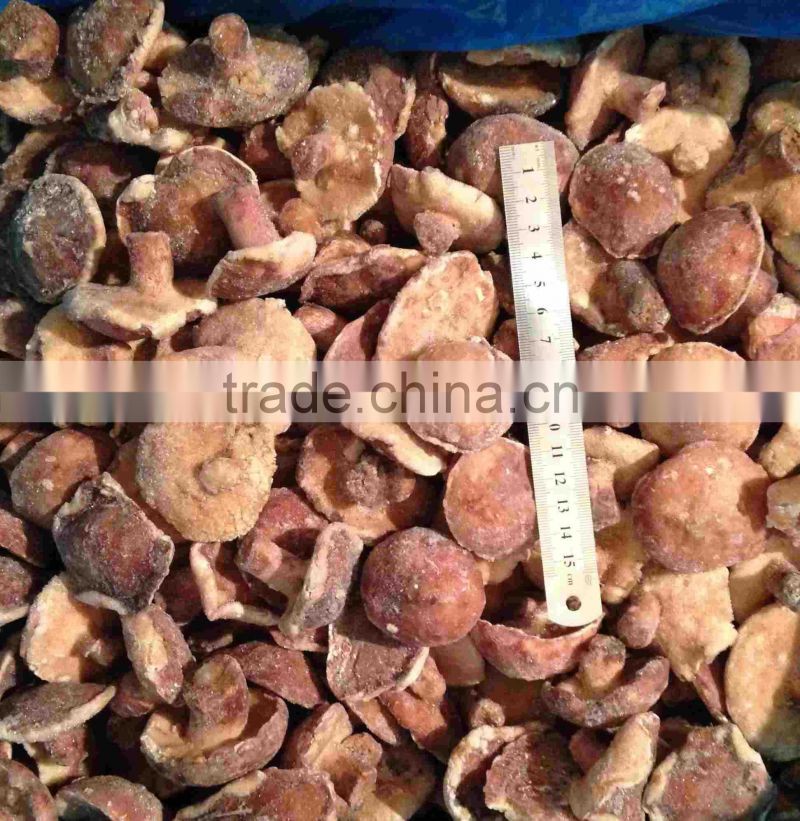 Canned Suillus Granulatus mushroom Marinated