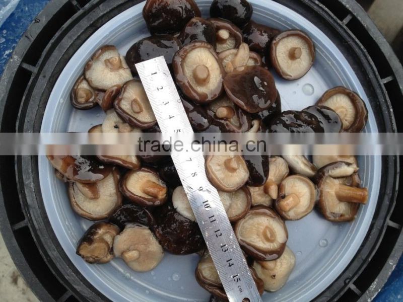 Shiitake in brine