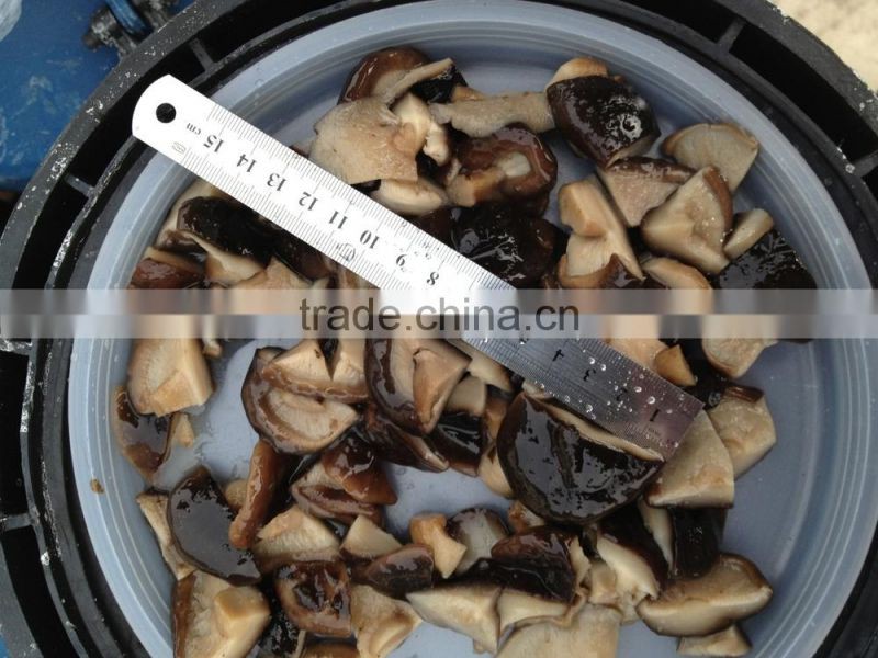 Shiitake in brine